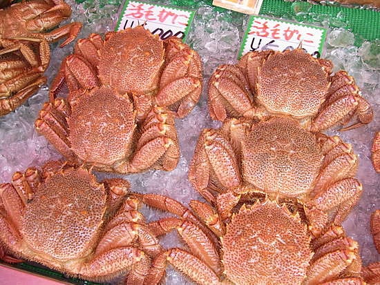 広海水産　蟹